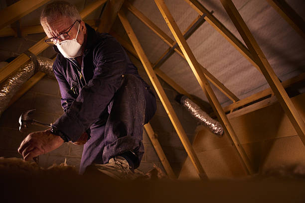 Best Cellulose Insulation in Des Moines, IA