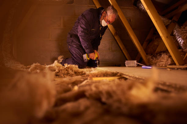 Best Geographic-Specific Insulation Services in Des Moines, IA