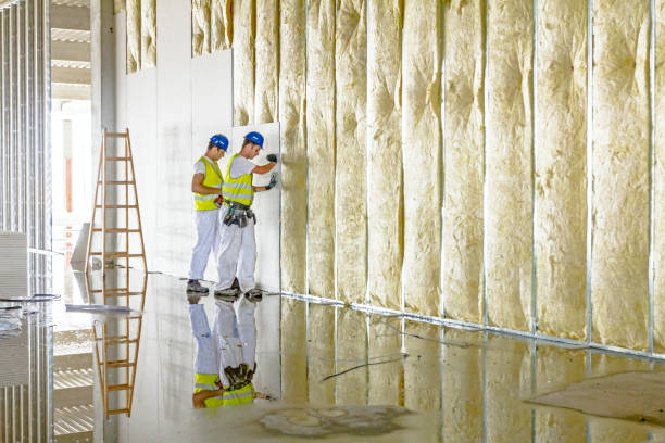 Best Blown-in Insulation in Des Moines, IA